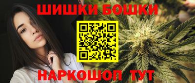 прущие грибы Будённовск