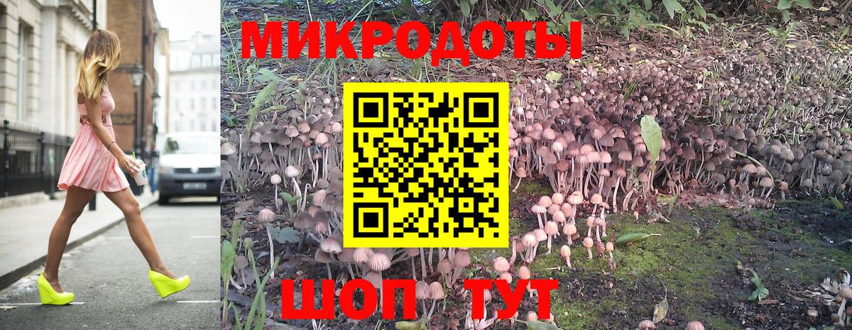 Галлюциногенные грибы Psilocybe  Галлюциногенные грибы мицелий  Балтийск  Вход с VPN 